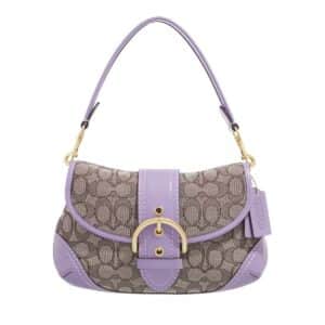 Coach Hobo Bag bunt